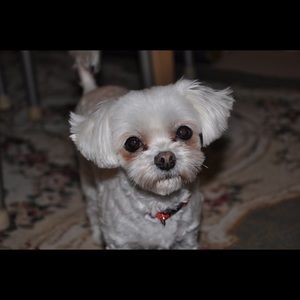 Meet your Posher, Sue-jin